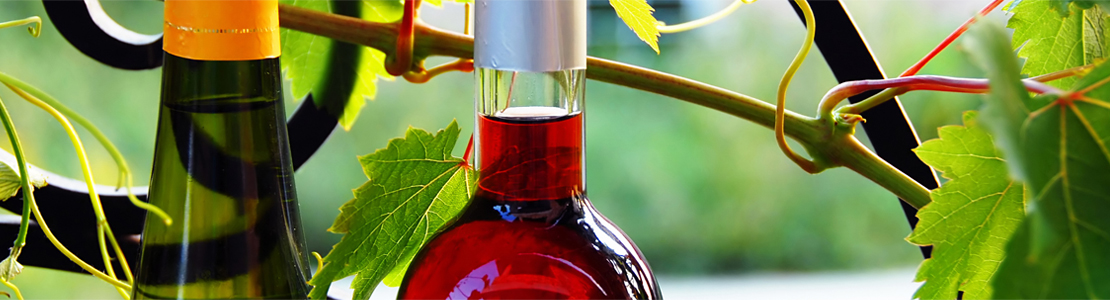 Vital Amenities to Look for in a Geyserville Winery Wedding Venue