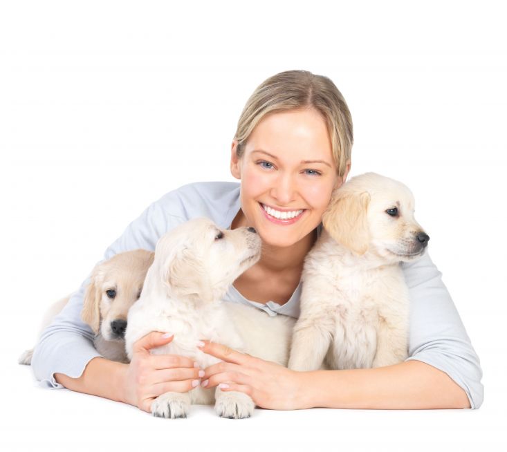Why Consider Professional Pet Sitting Services?