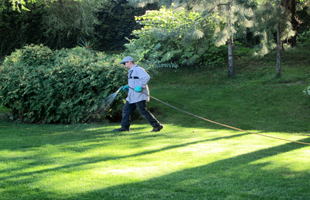 Protect Your Home From Pests With a Reliable Home Pest Control Service, Uhrichsville, OH