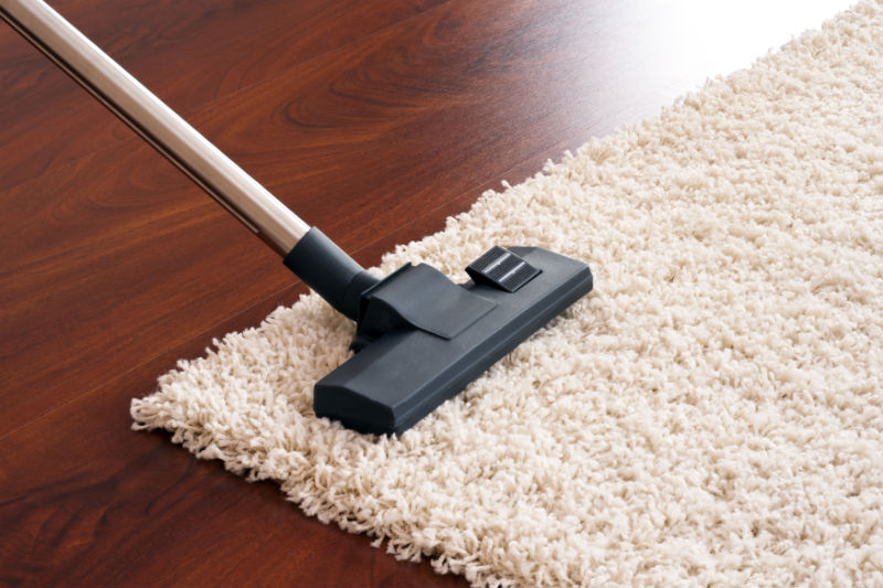 Find Quality Carpet Cleaning Services Near Westminster CO for a Fresher Home