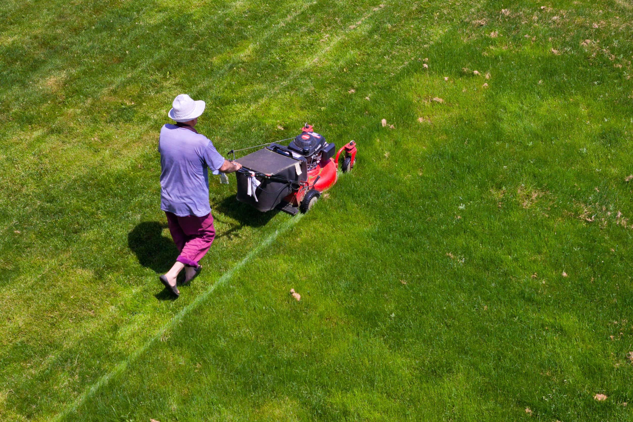 What Can Landscaping Material in Camden County Do for You?