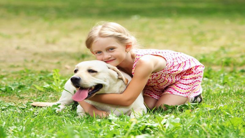 Dogs Just Love The Dog Day Care Center in 78258