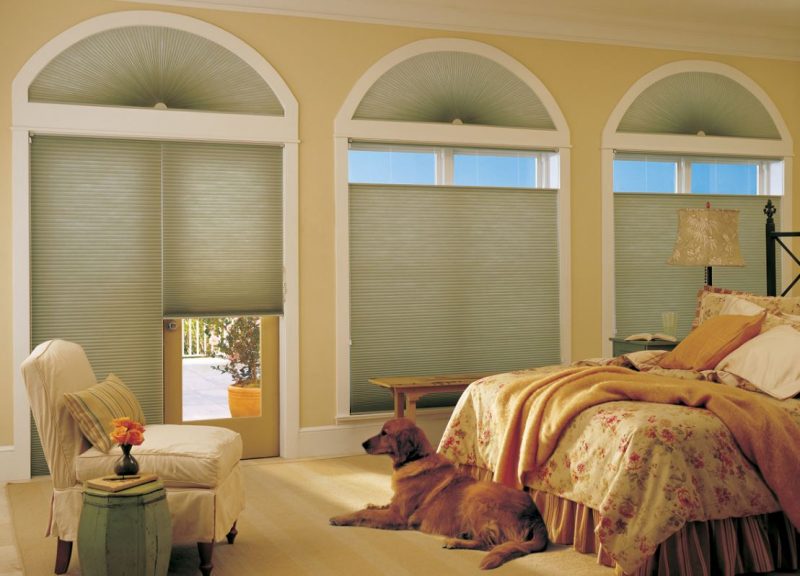 Benefits Offered by Window Shades San Marcos CA