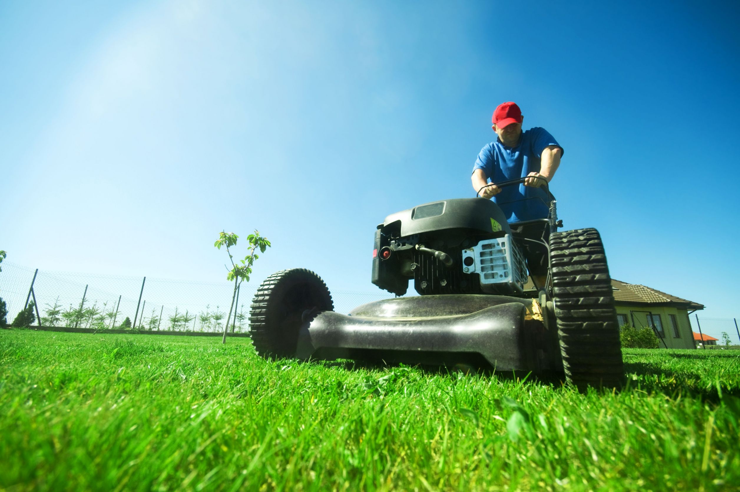 How Often Do You Need Lawn Treatments in Boynton Beach, Florida?
