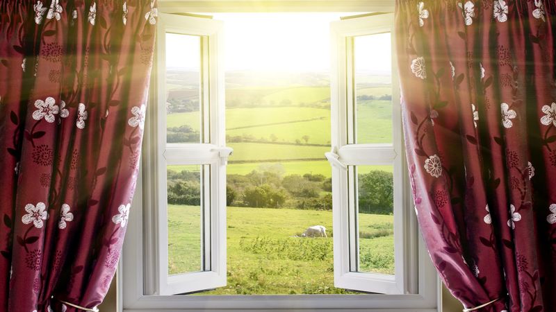 3 Benefits of Wood Windows in San Diego, CA