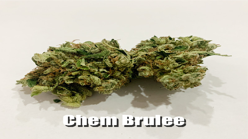 Tips for Going to a Medical Cannabis Dispensary