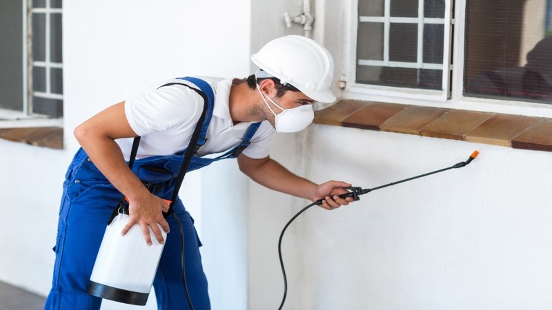 Pest Control Tracy CA: Protect Your Home from Unwanted Invaders