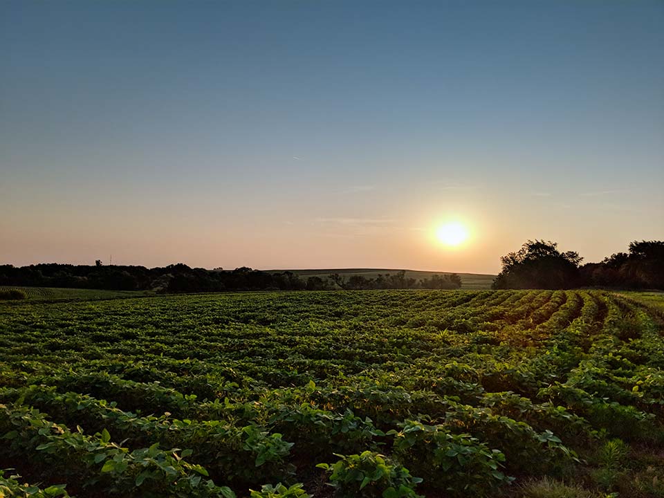 Top Reasons You Should Join a Farmers Cooperative in Syracuse, NE
