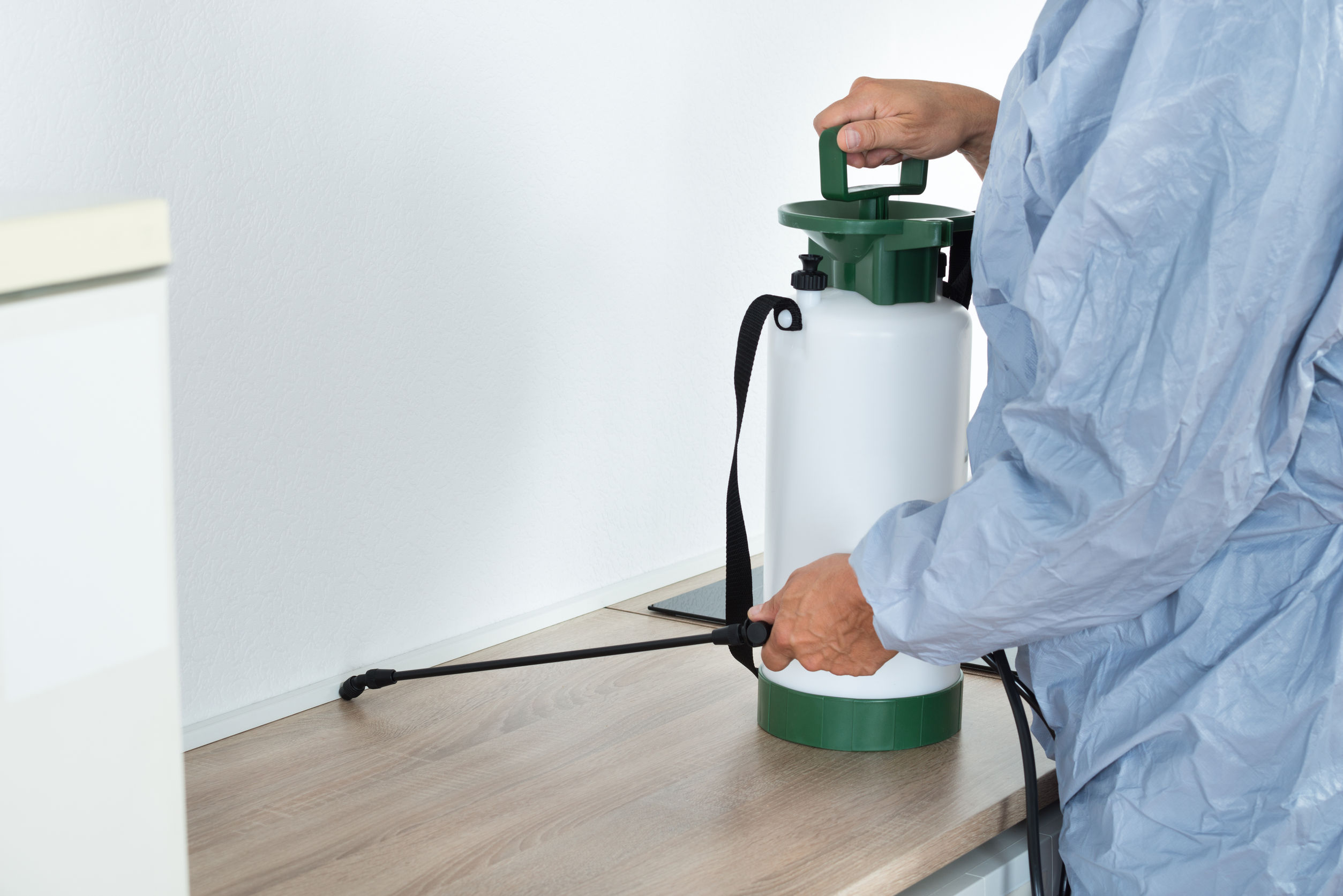 The Ultimate Guide to Pest Control in Peachtree City, GA