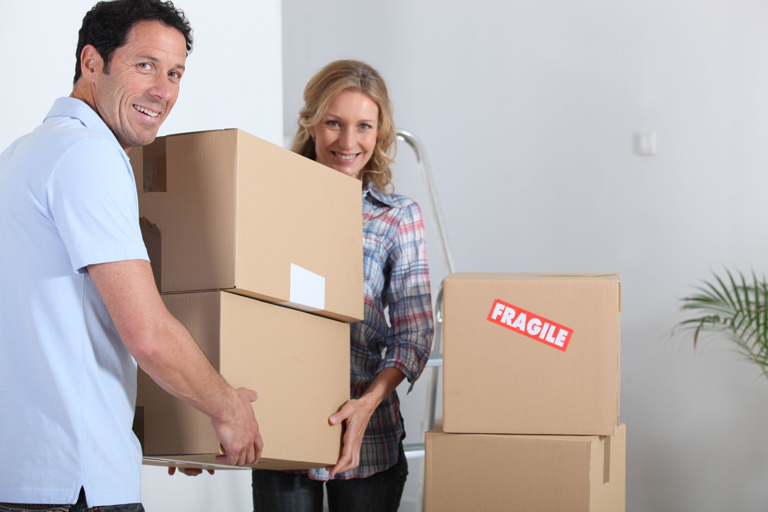 What to Know About International Moving and Storage in Tampa