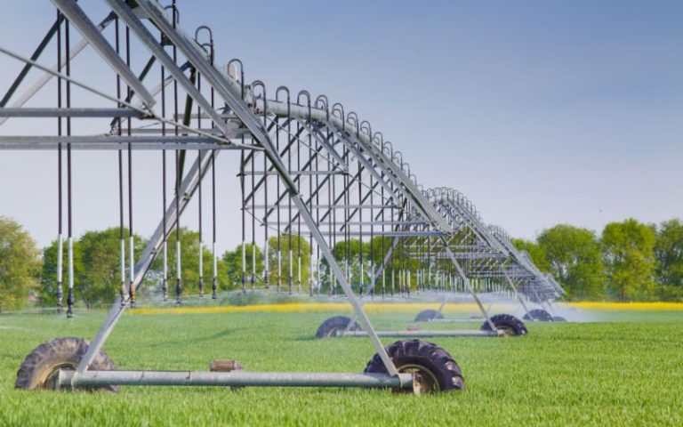 5 Top Benefits of Carbon Farming for Sustainable Agriculture in India