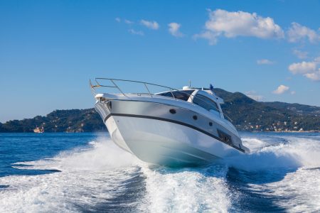 The Great Fun That You Can Have on a Whale Watching Tour in Monterey Bay