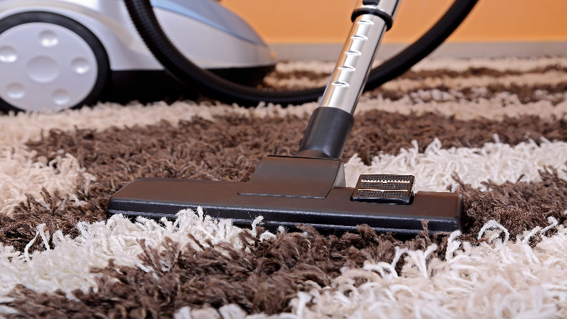 Homeowners Guide to Carpet Cleaning Glen Allen VA Safe Solutions for Families
