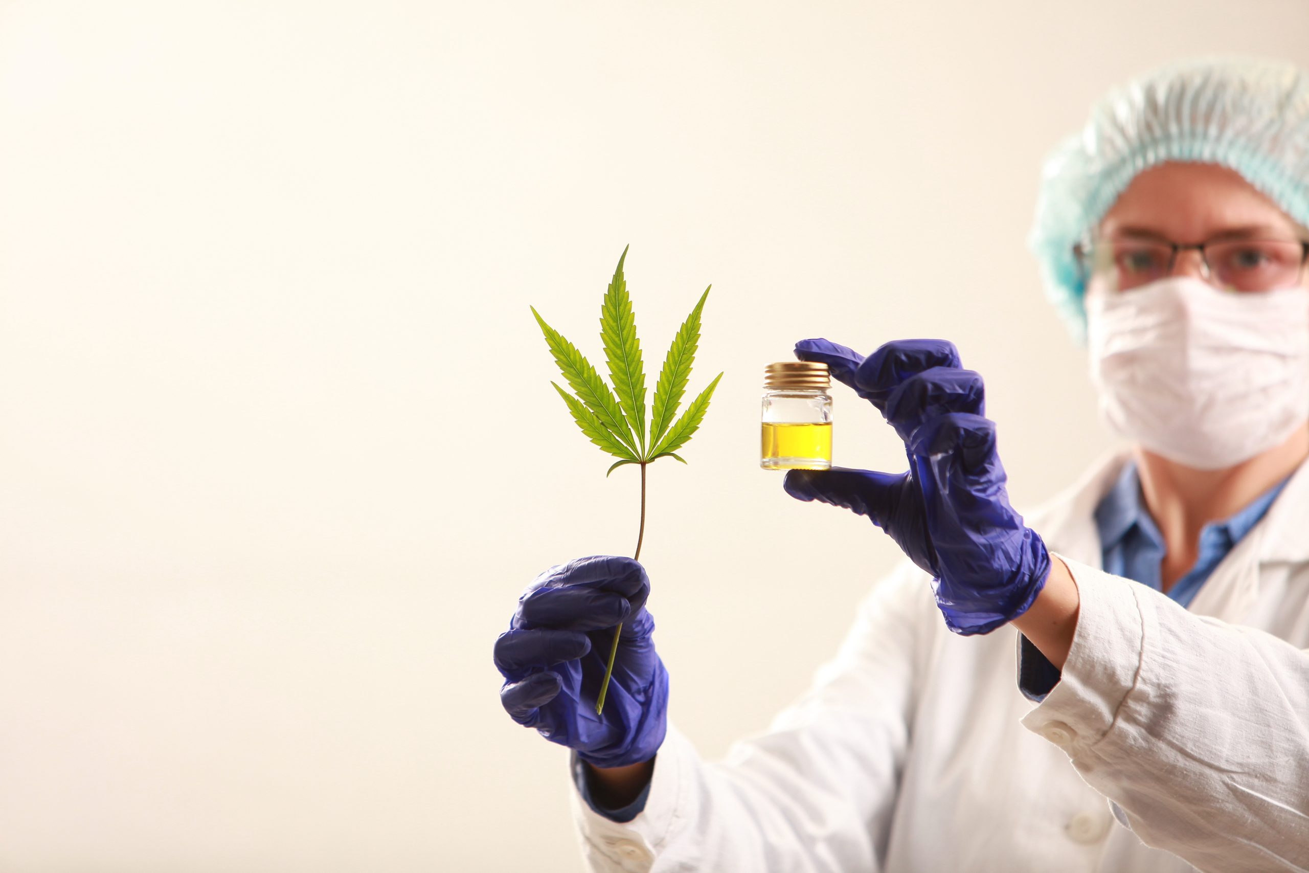 How To Prepare When Visiting A Cannabis Dispensary In Albuquerque NM