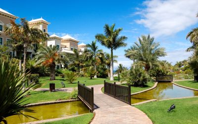 Make the Most of Your California Vacation With an Oceanside Beach Rental