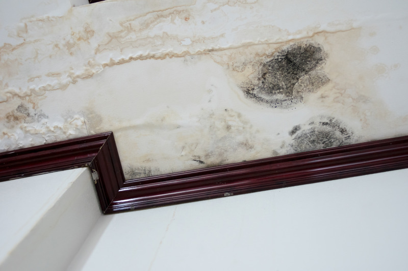 Water Damage Protection: The Value of Skilled Water Mitigation in Council Bluffs, IA