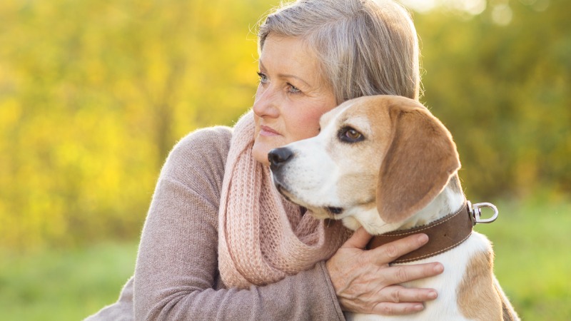 The Ultimate Guide to Dog Bathing Services in Denver