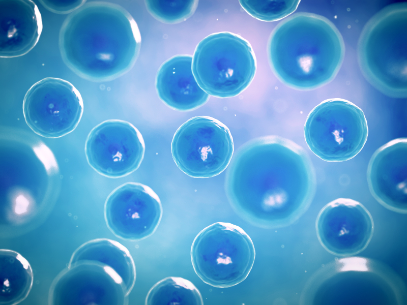 Exploring regenerative medicine in Baltimore, MD: A new frontier in healthcare