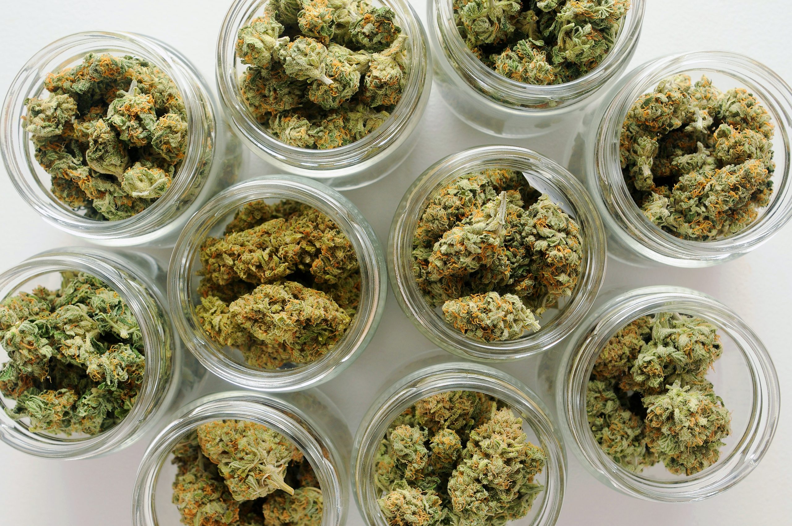 Exploring the Popularity of Big Chief Disposable Products