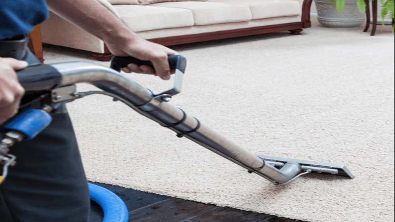 The Importance of Regular Carpet Cleaning Services near Thornton, CO