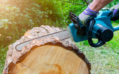 The Essential Role of Tree Trimming in Marietta, GA, in Landscape Maintenance
