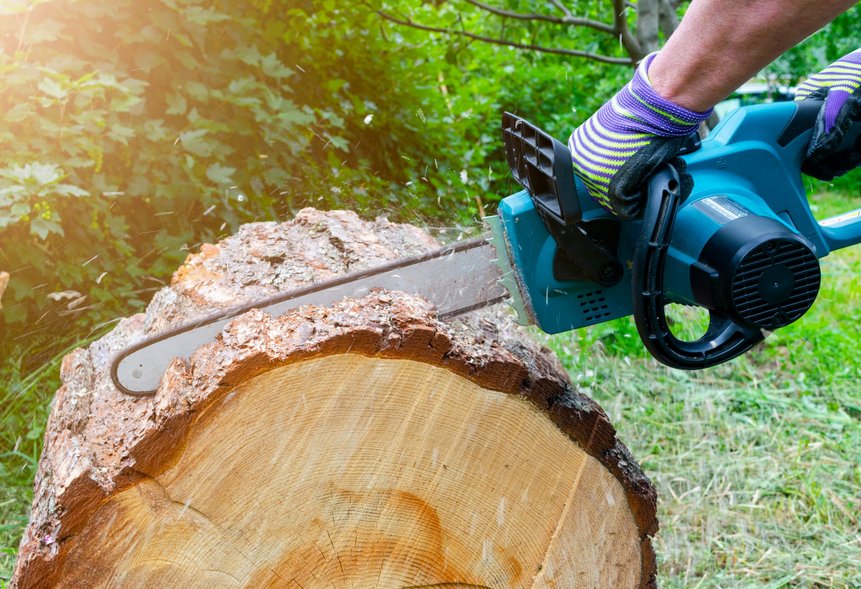 The Essential Role of Tree Trimming in Marietta, GA, in Landscape Maintenance