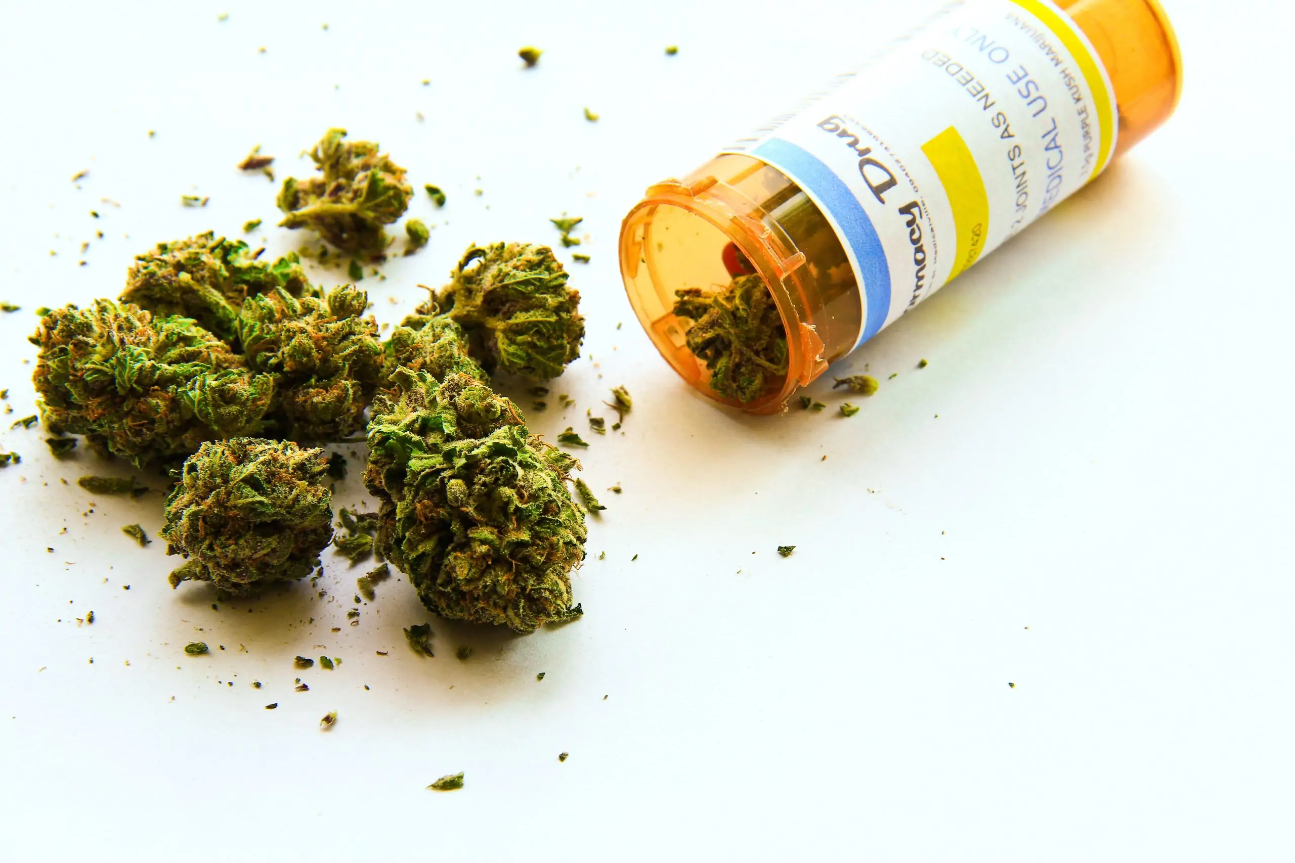Investigating the Advantages of CBD Mushroom Gummies