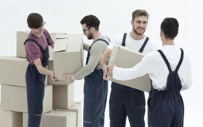 A Seamless Relocation Experience with Local Movers in Northbrook, IL