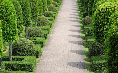 Benefits of Hiring a Professional Landscaping Installation Contractor Dublin OH