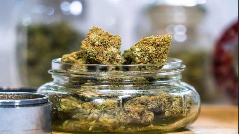 Your Guide to the Best Cannabis Options at Dispensary in Riverside CA