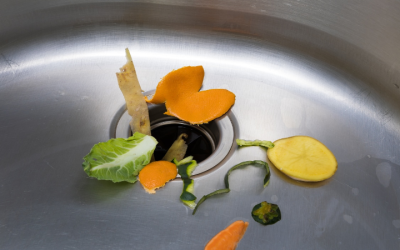 Uncover the Best Garbage Disposal Companies in Columbus GA