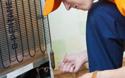 Preserving Freshness: The Importance of Timely Fridge Repair in New Orleans, LA
