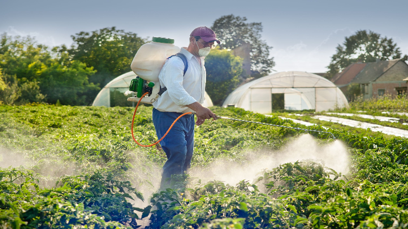 Innovative Uses of Beneficial Fungi in Environmental Restoration