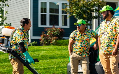 Expert Weed Control in Gainesville VA: Eco-Friendly Solutions