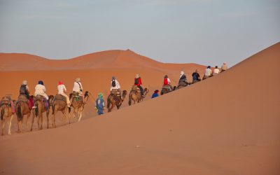Crossing Morocco’s Heartland: A Thrilling 3-Day Tour From Marrakech To Fes Through Mountains and Oases
