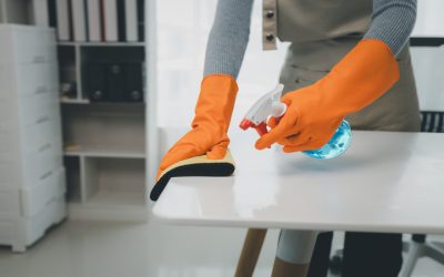 Ensure a Healthier Home with Professional Cleaning Services in Orlando, FL