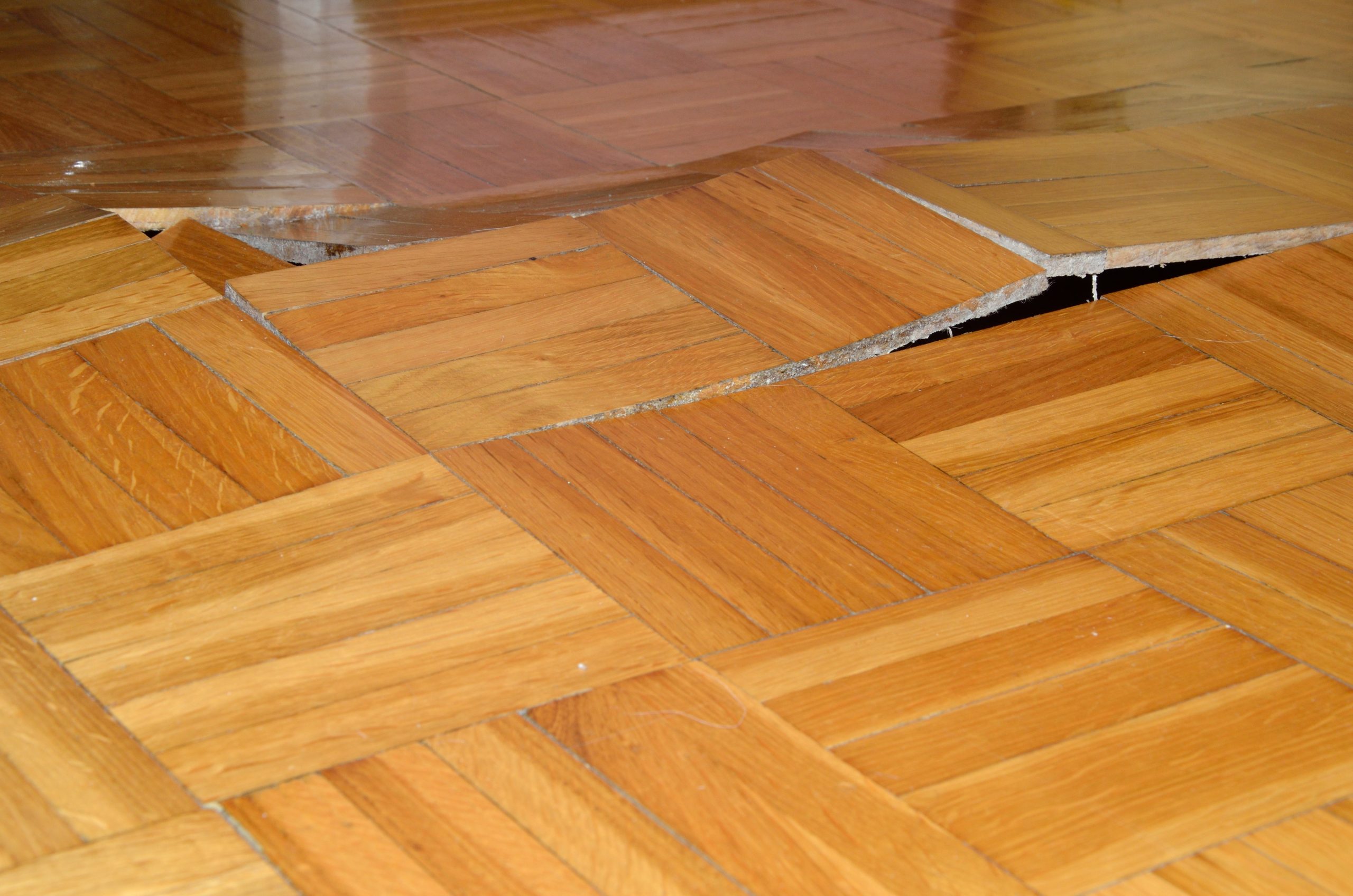 Quick Recovery with Water Damage Restoration Services in Little Rock AR