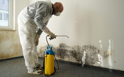 How Residential Mold Inspection Service Long Beach CA Ensures a Healthy Living Space