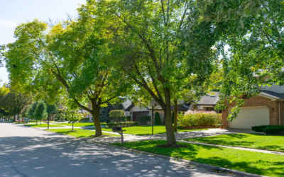 Tree And Shrub Service Charlestown, IN for Healthy Lawn and Curb Appeal