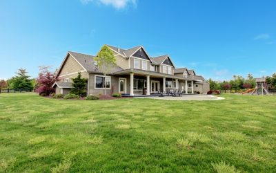 Save Your Home: Reliable Termite Inspection Services in Rhode Island