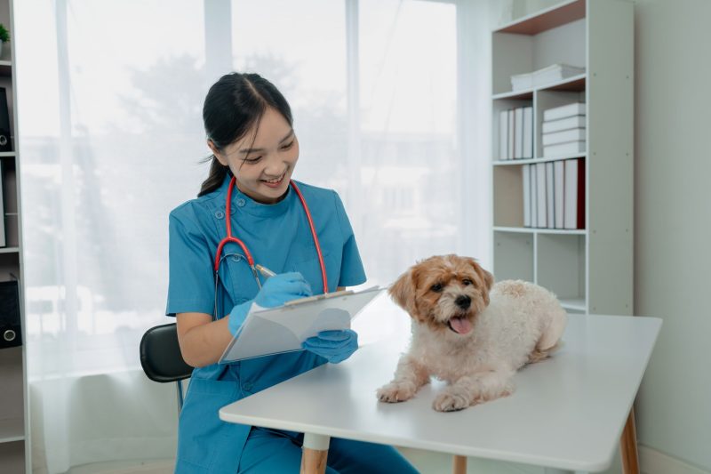 Expert Care at Animal Hospital Monmouth County, NJ for Your Pet’s Health