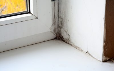 How Emergency Water Damage Restoration Service Fairfax VA Protects Your Home Fast