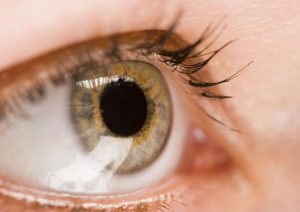 Understanding Macular Degeneration in Delray Beach: Your Essential Guide