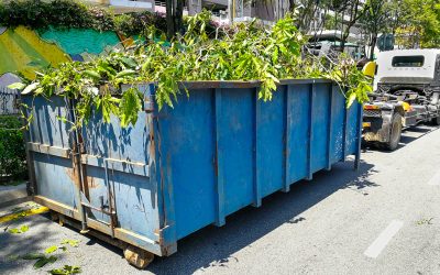 Efficient Cleanup Solutions with Dumpster Rental Hutchinson Mn