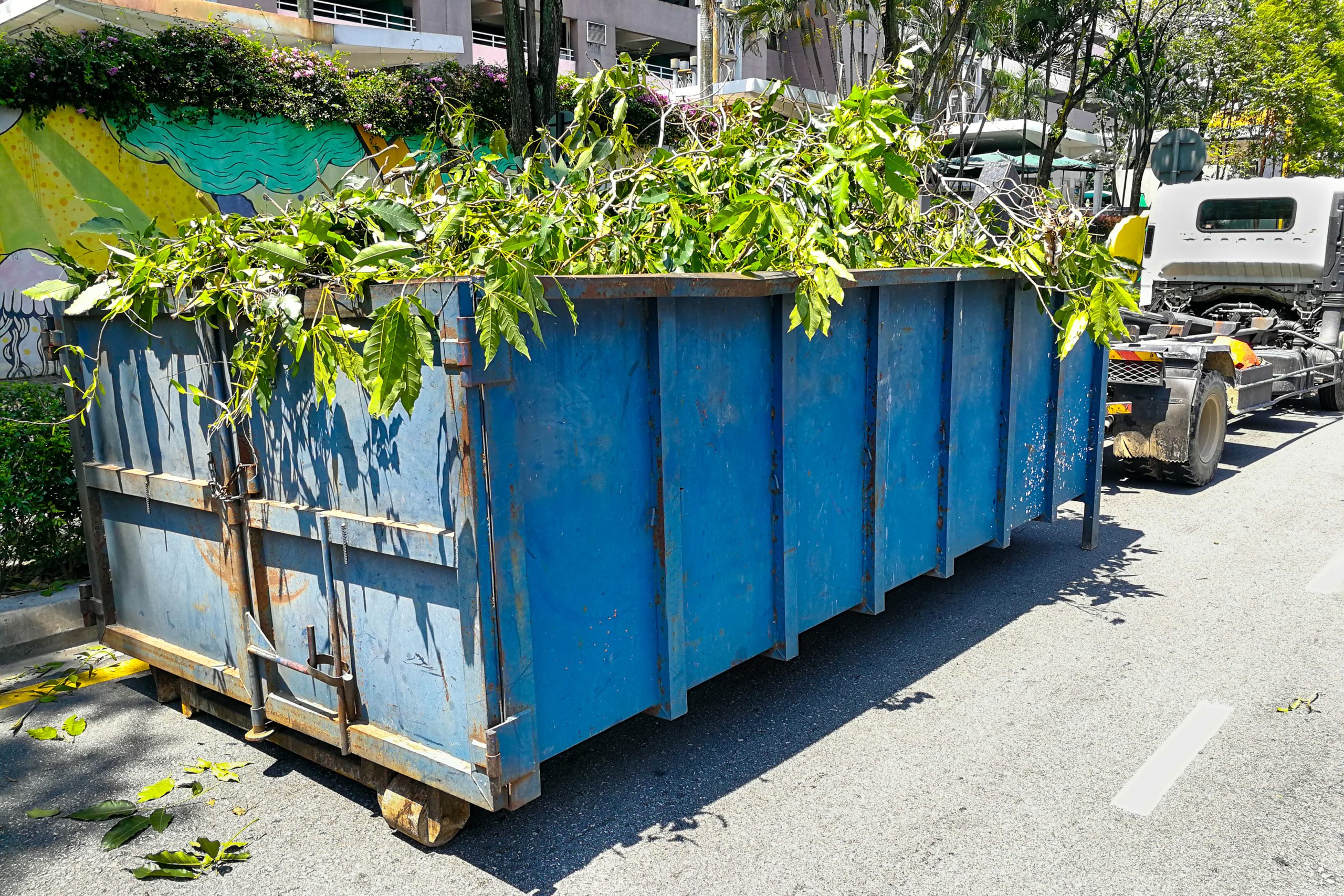 Efficient Cleanup Solutions with Dumpster Rental Hutchinson Mn