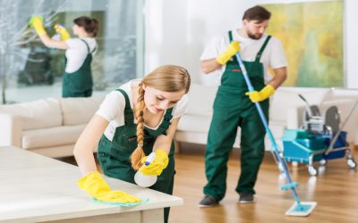 Stress-Free Home Cleaning in Lake Oswego, OR: What You Need to Know