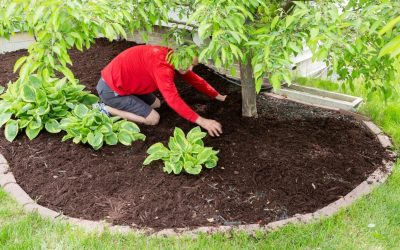 Transform Your Garden Using Reliable Mulch Companies Near Hartland, WI