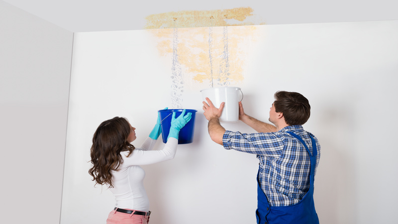 Protect Your Home From Mold With Expert Water Restoration Services Linden MI Offers