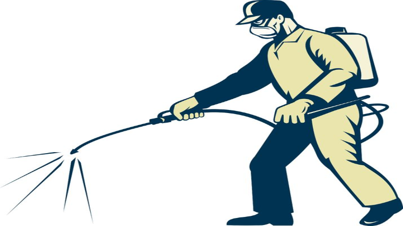 How to Choose a Bed Bug Exterminator in Barnstable County MA Trusts for Quick Results