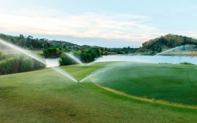 Keep Your Lawn Green and Healthy with Reliable Sprinkler Service Near Fort Lupton, CO